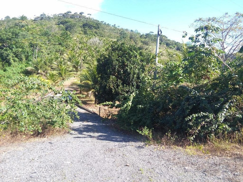Imagem 5 de 27 de Chácara Em Centro, Cabo De Santo Agostinho/pe De 25073m² 3 Quartos À Venda Por R$ 750.000,00 - Ch149398-s