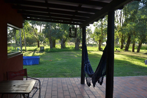 Imagen 5 de 15 de Campo En Gral. Madariaga