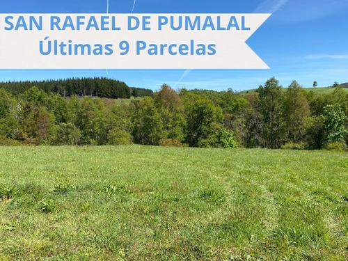 Últimas Parcelas Loteo San Rafael De Pumalal