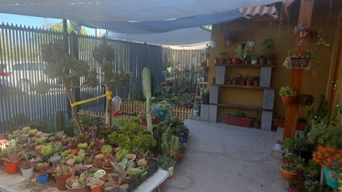Preciosa Casa Amplia , Patio Techado Con Quincho 4d , 2b