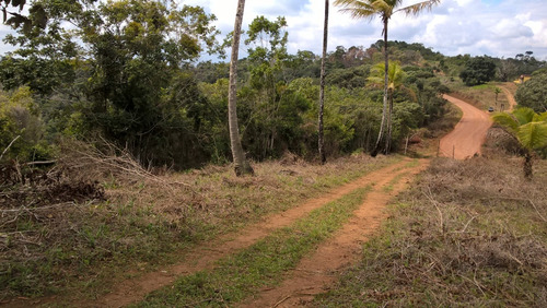 Fazenda 34 Hec. À Venda Em Taperoá-bahia