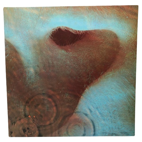 Lp The Pink Floyd - Meddle  1972