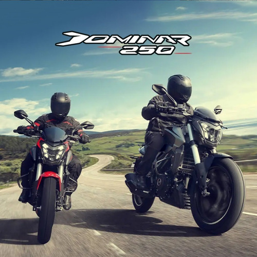 Imagen 19 de 23 de Bajaj Dominar D250 Naked Pronto Motos