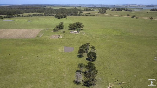 Campo En Venta