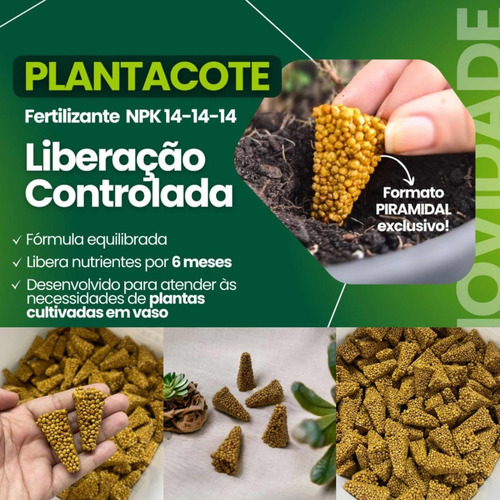 Kit Com 10 Unidades Plantacote Npk Fertilizante Para Flores