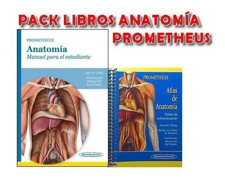 Pack Anatomia Prometheus Manual .y Fichas Autoevaluacion