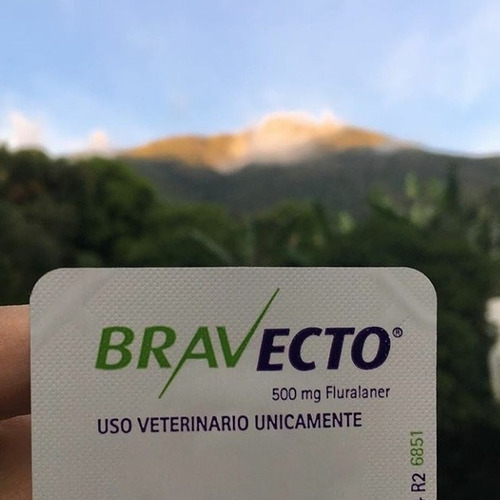 Bravecto De 4.5 - 10 Kilos