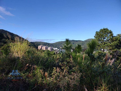 Imagem 14 de 26 de Terreno À Venda, 489 M² Por R$ 697.500,00 - Itacorubi - Florianópolis/sc - Te0085