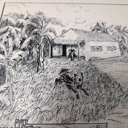 Imagem 4 de 6 de Desenho Pintura Nanquim Bico De Pena Antigo Cavalo Porteira