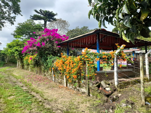 Se Vende Finca La Bella Calarcá Quindío