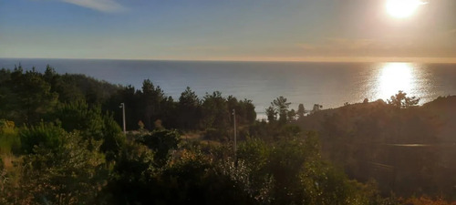 Parcela 3000 M2 En Venta Cobquecura