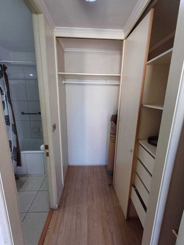Ideal Para Universitarios (fac. Salud Udp) (90488)