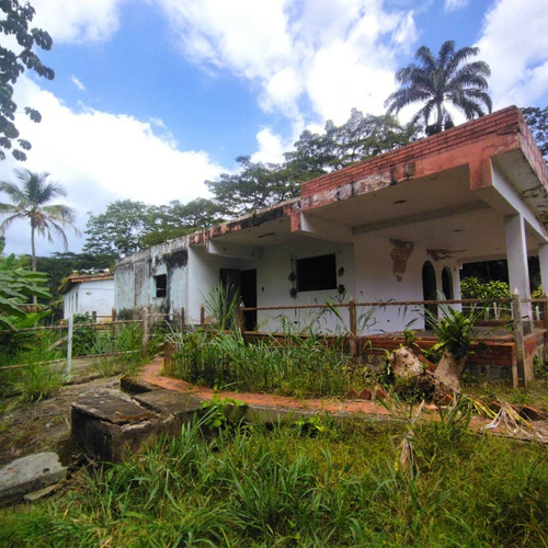 C-6840 Se Vende Finca En Bejuma De Oportunidad Totalmente Negociable