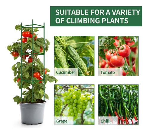 Paquete De 3 Jaulas Para Tomates Para Soporte De Plantas...