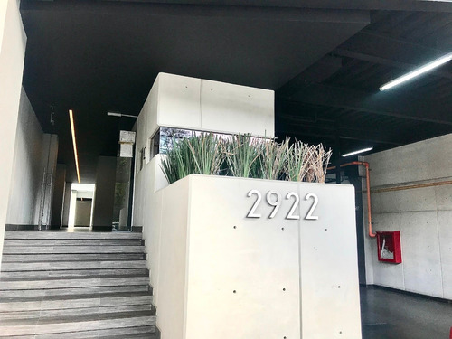 Imagen 1 de 14 de Departamento Nuevo Para Renta San Jerónimo / Tizapan