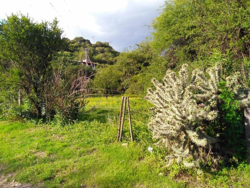 Terrenos O Lotes Venta San Lorenzo