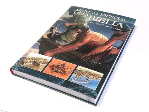 Imagen 2 de 5 de Manual Esencial De La Biblia. Un Recorrido Libro Por Libro.