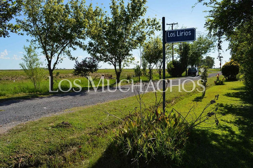 Imagen 3 de 6 de Lotes Los Muchachos - Piñeros