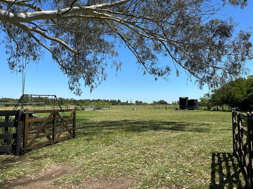 Imagen 2 de 17 de Casa Quinta Con Pileta En Chascomus