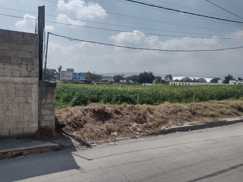 Vendo 9,694 Metros Cuadrados Con Servicios Km.16 Carretera Toluca Hacia Tenango Del Valle Estado De México, País México.