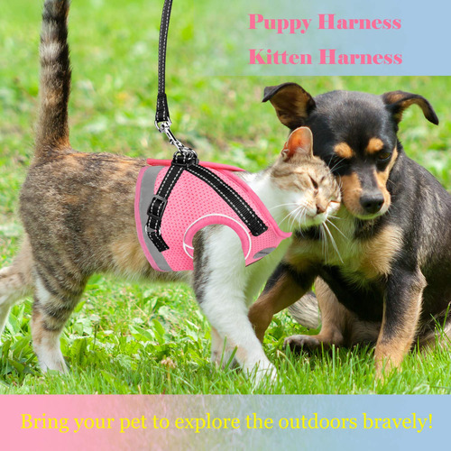 Set De Arnés Y Correa Para Gatos Y Cachorros Acccava
