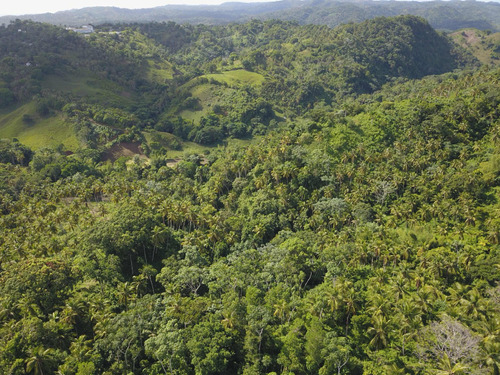 Sección Villa Clara, Paraje De Arroyo Grande,samana Rd