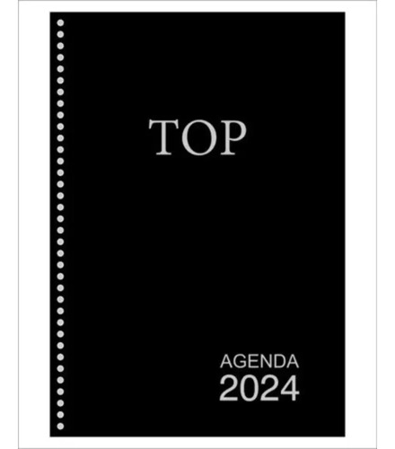 Agenda Executiva Diaria Top Grande Espiral