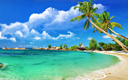 pic Paisagem Tela De Fundo Para Notebook papel de parede adesivo coqueiro praia sala paisagem pr03