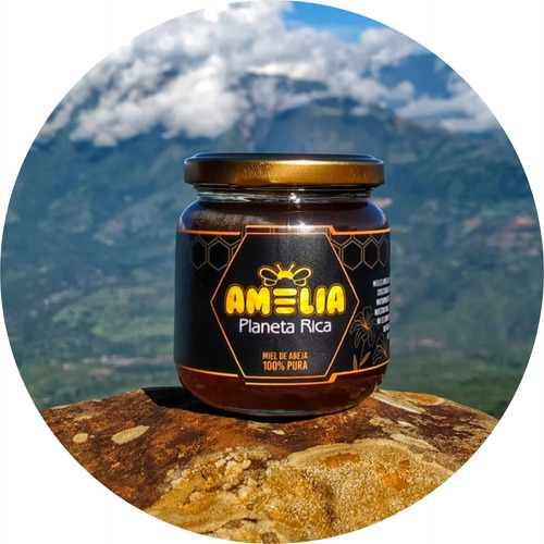 Miel De Abejas Multifloral 265gr Néct - Kg a $14000