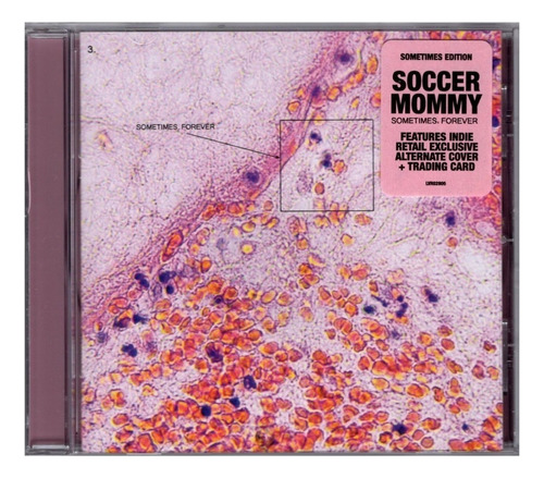 Soccer Mommy Sometimes Forever Disco Cd + Tarjeta Versión del álbum Estándar