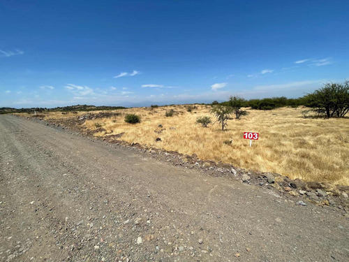 Imagen 7 de 19 de Parcelas En Teno