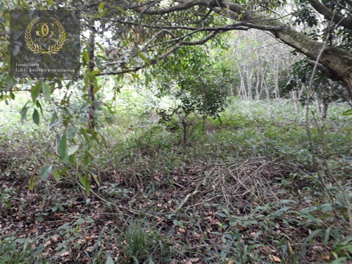 Imagem 12 de 12 de Terreno À Venda, 3283 M² Por R$ 160.000,00 - Planalto - Viamão/rs - Te0143