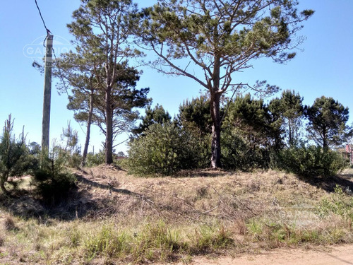 Terreno - Punta Del Diablo