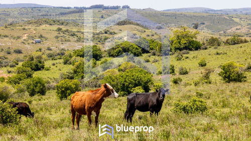 Promo! Desde 30% De Descuento En Tu Chacra: Sierras Del Eden; Chacras De 5 Has A 17 Minutos De Pueblo Edén!