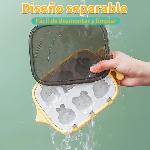 Mini Moldes Para Paletas De Hielo, 6 Moldes De Helado En