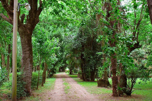 Chacra - General Las Heras