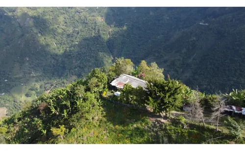 Venta Finca 77000 Mts2 Abejorral Vereda El Guaico
