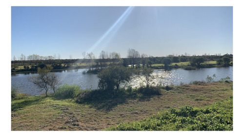 Imagen 17 de 27 de Casa Conteiner A Estrenar De 3 Ambientes Sobre Lote De 3.110 M2 Con 69 Mts De Costa Al Lago