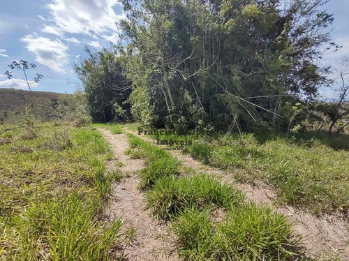 Imagem 13 de 19 de Terreno À Venda No Bairro Pilões - Guaratinguetá/sp - Tr010-1