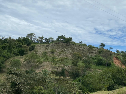 Imagen 3 de 30 de Agua De Dios - Finca De Produccion En Venta