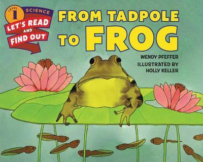 Libro From Tadpole To Frog - Wendy Pfeffer