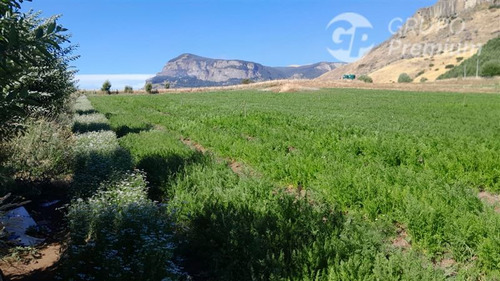 Agrícola En Venta En Coihaique