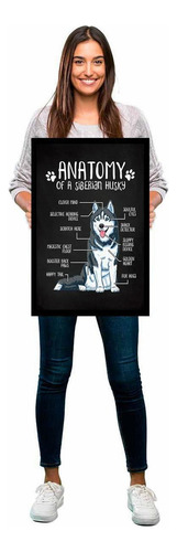 Marco decorativo de anatomía de perros husky, dibujo