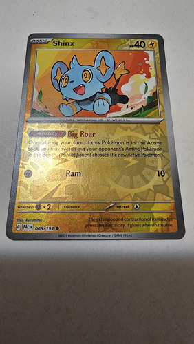 Pokemon Card Game   Shinx