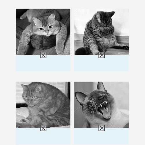 Juguetes Interactivos Para Mascotas Chirping Bird, Para Inte
