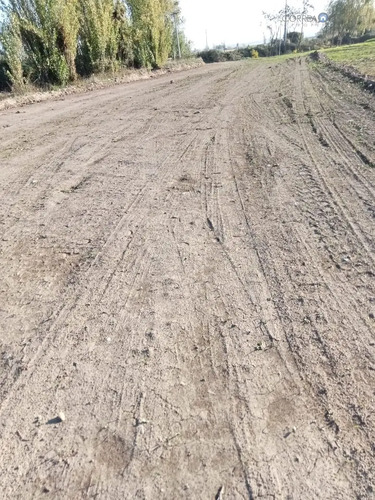 Terreno En Venta En Teno