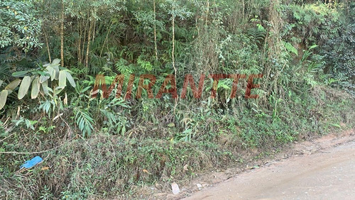 Imagem 2 de 4 de Terreno Em Caceia - Mairiporã, Sp - 345029