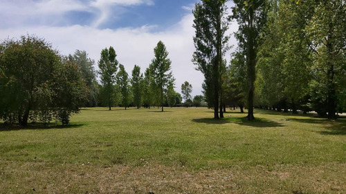 Venta Terrenos En Lobos - La Federala Club De Campo- Escritura Inmediata