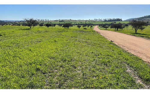 Excelente!! Parcelas De 5.000 M2 Con Rol Propio En "lom