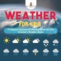 Libro Weather For Kids - Pictionary Glossary Of Weather T...